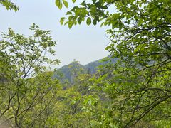 -北京凤凰岭