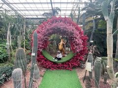 -呀路古热带植物园