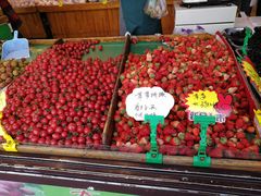 -乐乐鲜果水果超市(河北店)