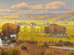 -陕西自然博物馆