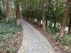 -苏州太湖国家湿地公园