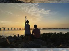 -宝安西湾红树林湿地公园