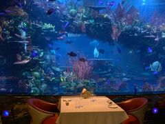 -迪拜帆船酒店海底餐厅