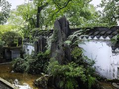 -南山植物园