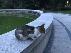 -上海科学技术职业学院