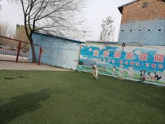 -宠物寄养训练学校