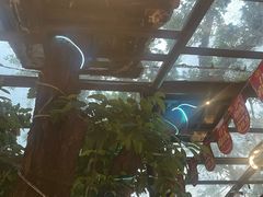 -海岛八号龙虾烧烤田鸡(蓝天路总店)