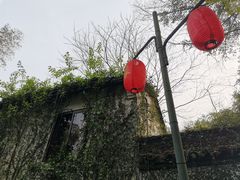 -杭州黄龙洞