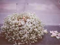 -北京嘉里大酒店·宴会厅婚宴·户外婚礼·生日宴