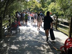 -吴淞炮台湾湿地森林公园烧烤区