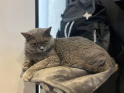 -飛凡TATTOO纹身•原创