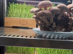 -捞王猪肚鸡火锅(金华义乌之心店)