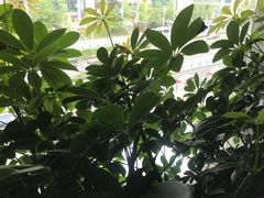 -鉴川·川菜传承(星汇两江店)