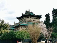-武汉大学-樱园