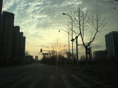 -马王堆海鲜水产市场