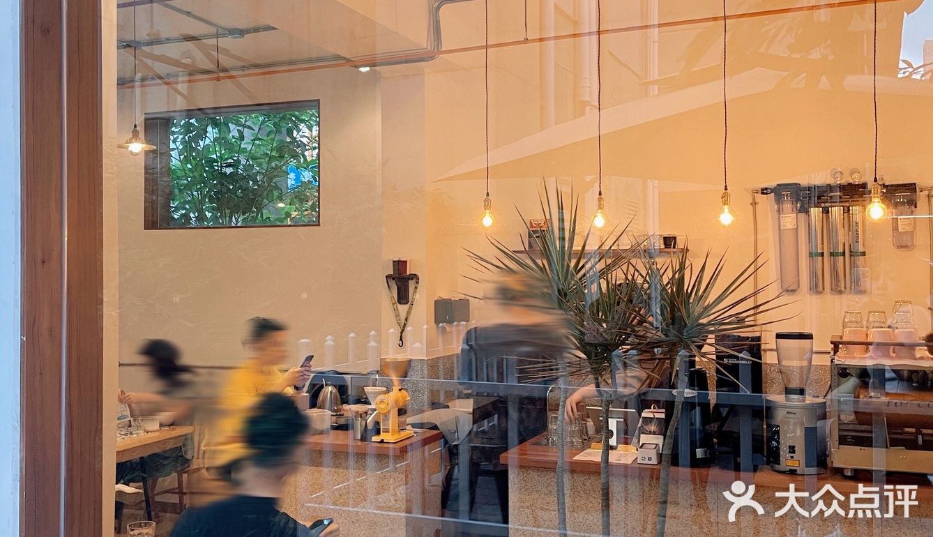 深圳｜藏在树底下的小咖啡店🌳