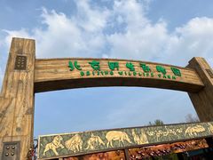 -北京野生动物园