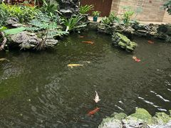 -白天鹅宾馆-宏图府餐厅