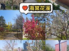 -元大都城垣遗址公园