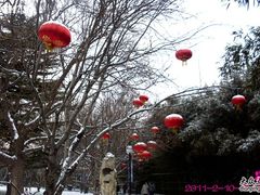 -紫竹院公园冰场