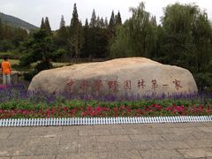 -习家池