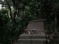 -广州兰圃