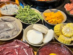 -阳阳老火锅(小南门店)