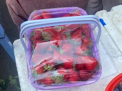-南门绿玉农贸市场