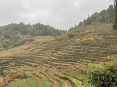-南靖田螺坑土楼群景区