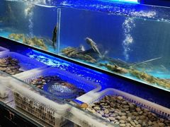 水产区-布多斯烤肉火锅自助(江腾广场店)