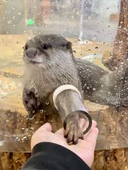 -Zoolung Zoolung动物主题公园(海信广场店)