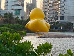 -深圳湾公园(南山区)