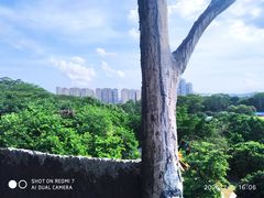 -松山湖梦幻百花洲