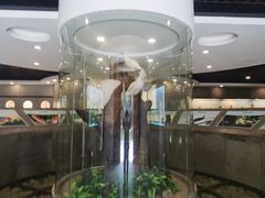 -下渚湖国家湿地公园科普馆