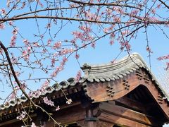 -三里河公园
