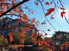 -中旅阿那亚九龙湖·公主酒店