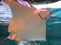 -沈阳海洋探索中心