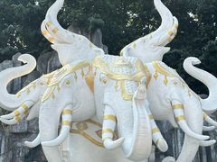 -西双版纳勐泐文化旅游区