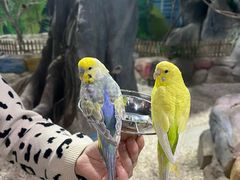 -秦皇岛新澳海底世界
