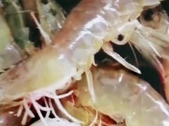 -赶海部落海鲜城(海阳路店)