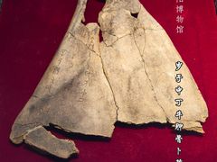 -安阳博物馆