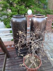 -北京当代芭蕾舞团·艺术中心