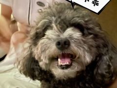 -大桶大足浴(沪南店)