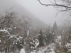 -九峰山