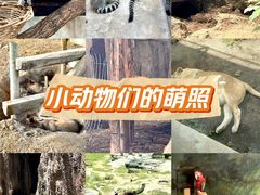 -北京动物园