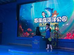 -石家庄海洋公园