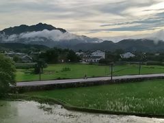 -黄牛肉馆·皖南土菜