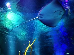 -沈阳海洋探索中心