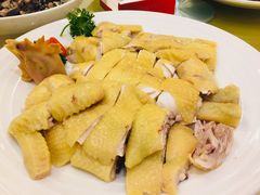 白切鸡-益利大酒楼(井岸店)
