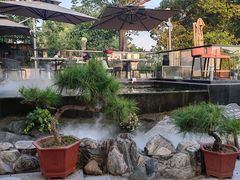 -蘇河湾·新鲁菜·泰山宴(泰山店)